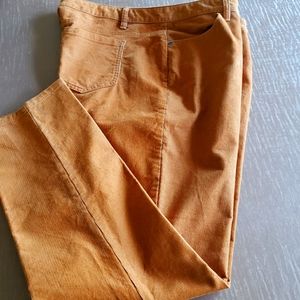 Corduroy Pants Northern Reflections Copper Size 16